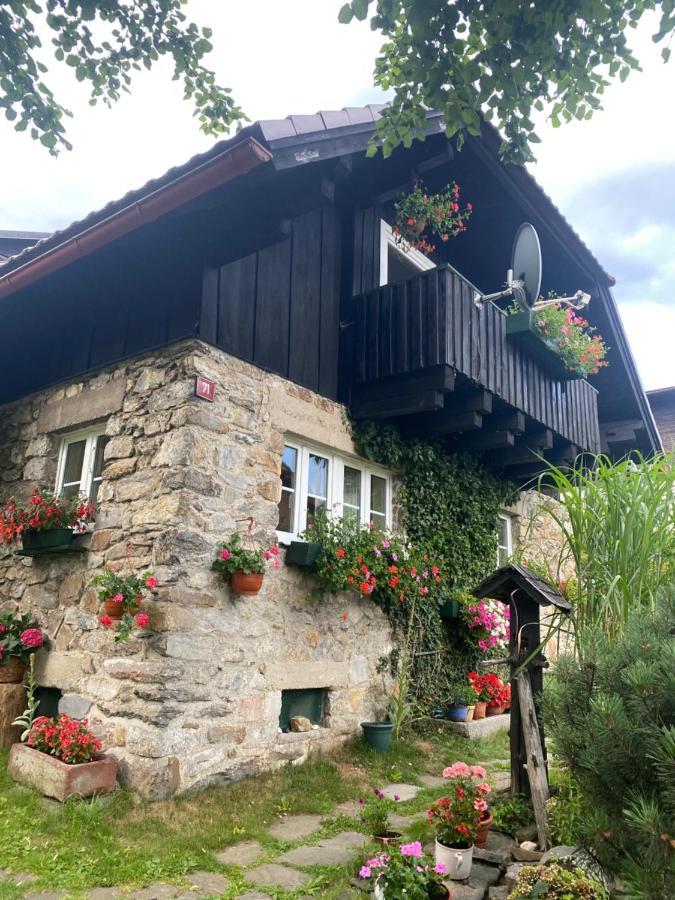 Appartement Apartman U Potucku à Železná Ruda Extérieur photo
