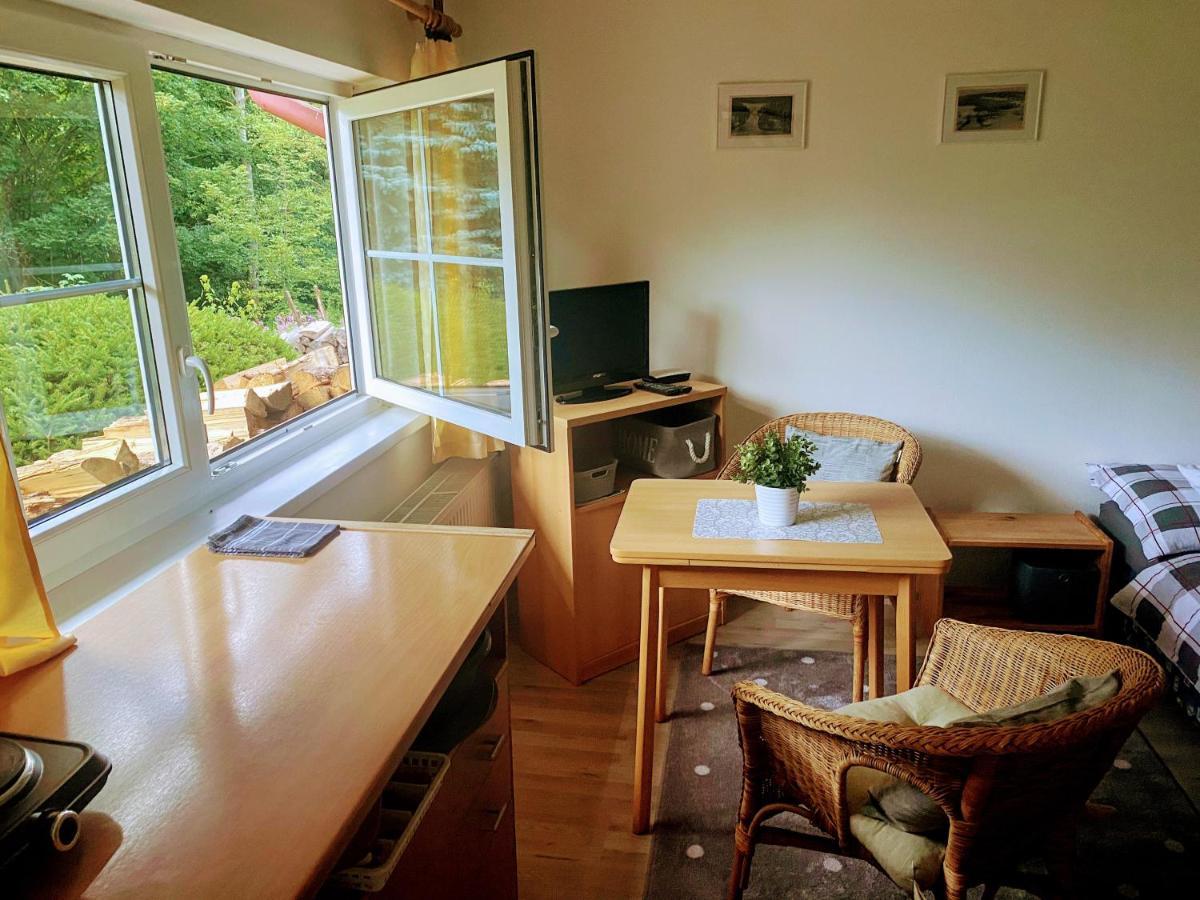 Appartement Apartman U Potucku à Železná Ruda Extérieur photo