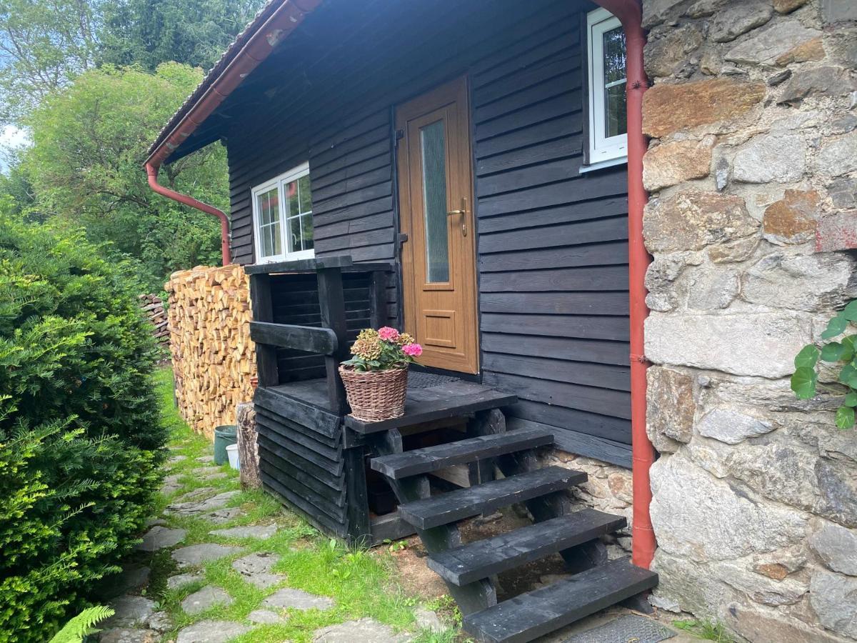 Appartement Apartman U Potucku à Železná Ruda Extérieur photo
